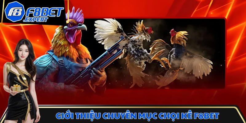Giới thiệu chuyên mục chọi kê nhà cái F8BET